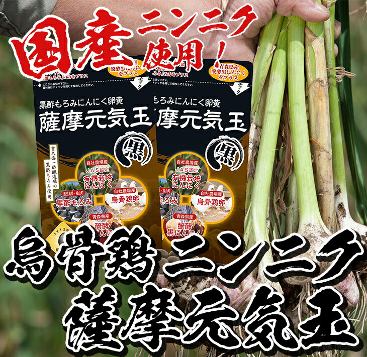 【ふるさと納税】黒酢もろみにんにく使用！薩摩元気玉 黒(2袋・1袋×62粒入) ニンニク 大蒜 サプリメント 腸溶 カプセル 有機 有機栽培 健康 健康食品 栄養 栄養補助 栄養補助食品【健康クラブ】