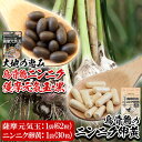【ふるさと納税】烏骨鶏の元気玉セット(薩摩元気玉・黒/1袋(62粒)・烏骨鶏のニンニク卵黄/1袋(30粒)) 国産 鹿児島県産 卵 自社農場 有機栽培 オーガニ...
