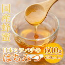 【ふるさと納税】＜数量限定＞国産！日本ミツバチの蜂蜜(600g×1本 計600g)国産はちみつ！ハチミツを合計お届け！贈答品やギフト 贈り物に！【セゾン企画】