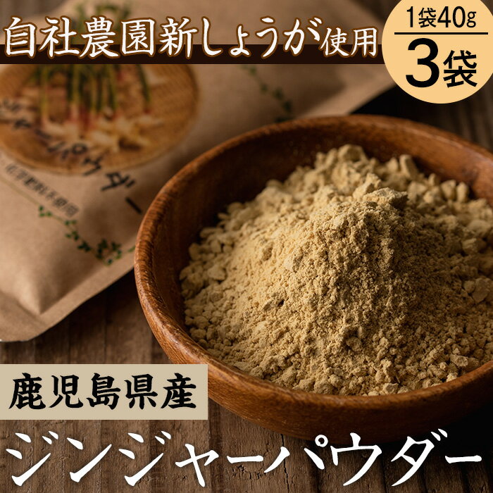 調味料(スパイス)人気ランク7位　口コミ数「2件」評価「5」「【ふるさと納税】鹿児島県産ジンジャーパウダー(40g×3)自社農園の新生姜のみ使用！国産 鹿児島県産 いちき串木野産 有機 オーガニック 生姜 ジンジャー パウダー 無添加 小分け 常温 6次化 六次化【安光農園】」