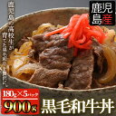 【ふるさと納税】市来農芸高校産 鹿児島県産黒毛和牛(青春マル