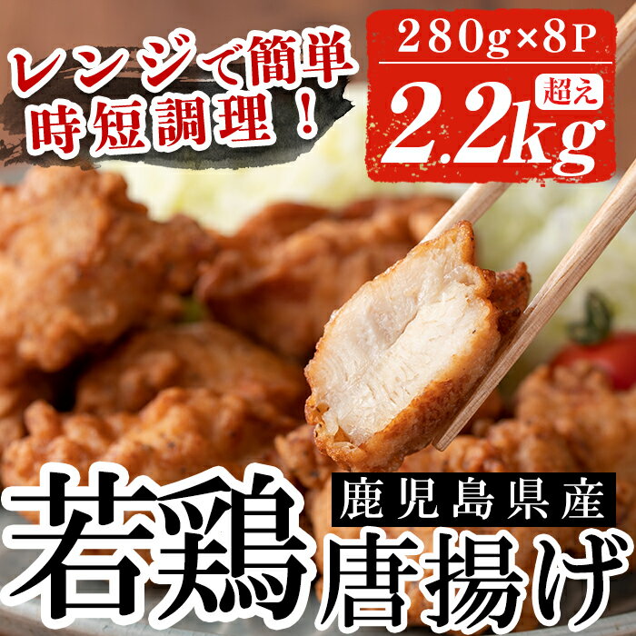【ふるさと納税】鹿児島県産鶏肉を使用した唐揚げ計2.2kg超