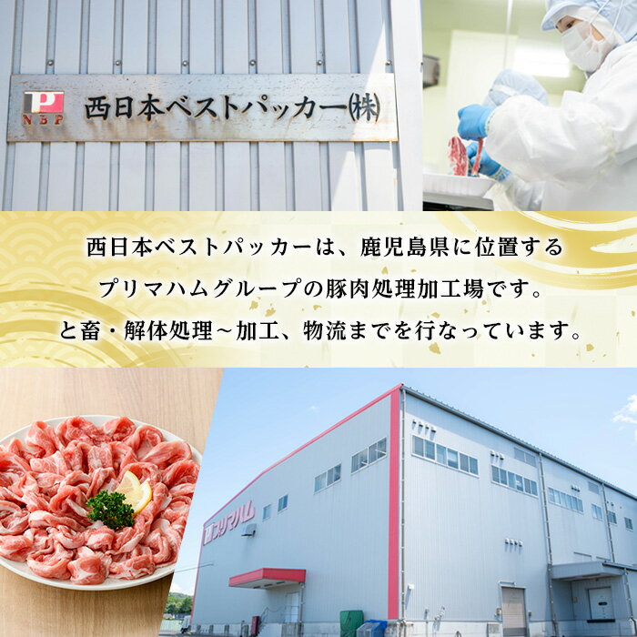 【ふるさと納税】＜配送回数を選べる！＞鹿児島県産！さつま香潤豚しゃぶしゃぶセット (3種)(250g×6P・合計1.5kg / 250g×6P×3回・総量4.5kg) 豚 豚肉 肉 鹿児島 白豚 しゃぶしゃぶ ロース 肩ロース ばら肉 バラ肉 詰合せ 小分け 定期便 冷凍【西日本ベストパッカー】