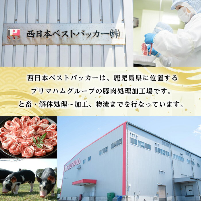 【ふるさと納税】＜配送回数を選べる！＞恵味の黒豚しゃぶしゃぶ3種セット (鹿児島県産黒豚)(250g×6P・合計1.5kg / 250g×6P×3回・総量4.5kg) 豚肉 鹿児島 スライス 肩ロース ロース ばら肉 バラ肉 しゃぶしゃぶ 詰合せ 小分け 250g 定期便 冷凍【西日本ベストパッカー】