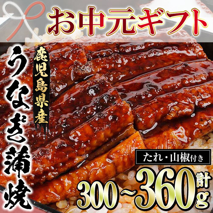 [2025年お中元ギフト][容量を選べる!][レンジ対応]鹿児島県産うなぎ蒲焼(300g・60g×5/360g・90g×4) 国産 国産魚 九州産 鹿児島県産 魚 魚介 鰻 うなぎ ウナギ unagi 蒲焼 蒲焼き たれ たれ付 さんしょう 簡単調理[エーエフ企画]