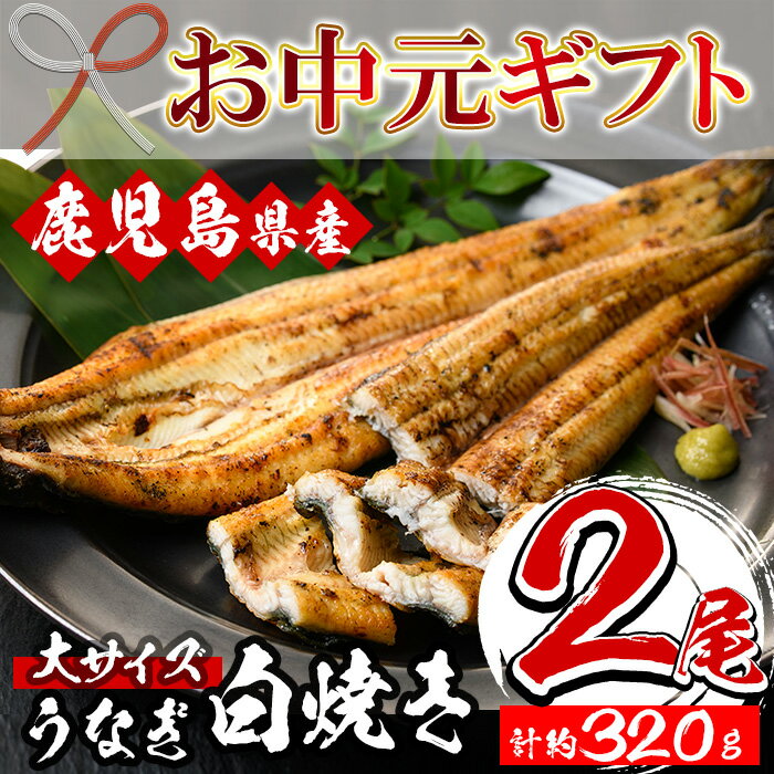 白焼き 【ふるさと納税】＜2024年お中元ギフト＞国産うなぎ(鹿児島県産うなぎ)白焼き(大サイズ2尾・約320g) 国産 国産魚 九州産 鹿児島県産 魚 魚介 鰻 うなぎ ウナギ 白焼き 惣菜 冷凍 プレゼント 贈答品【南竹鰻加工】