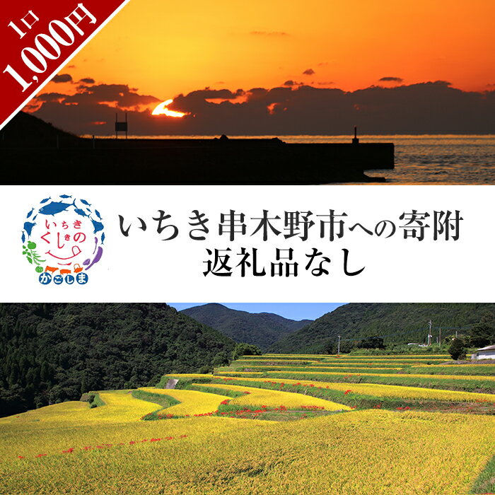 【ふるさと納税】≪返礼品なし・1,000円≫鹿児島県いちき串