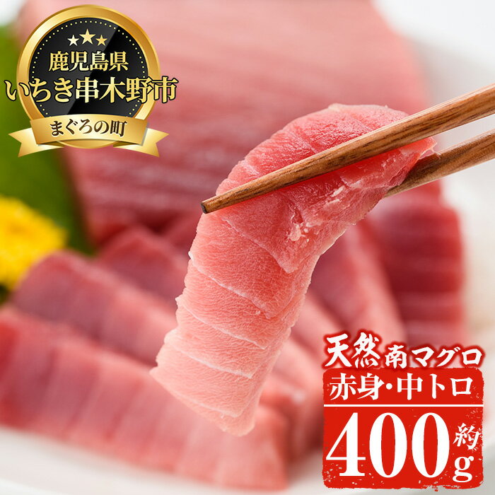 【ふるさと納税】南マグロ味わいセット！中トロと赤身の鮪の刺身用柵(計約400g)希少な南まぐろの中と...