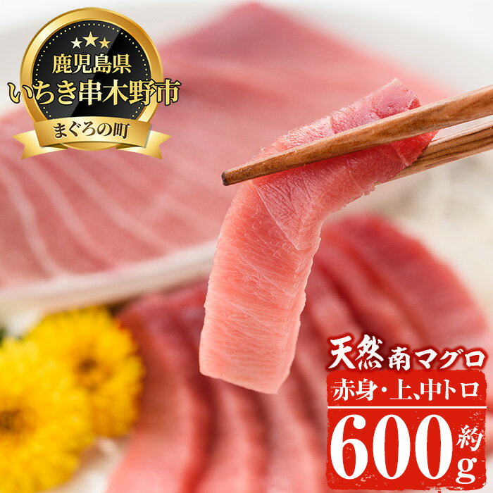 製品仕様 名称 南まぐろ 内容量 南まぐろ刺身用【計約600g】 ・上トロ×1本 ・中トロ×1本 ・赤身×1本 ※サクの重量は各1本あたり約200〜230gとなります。切り方によって誤差が生じますのでご了承ください。 産地名 南アフリカケープタウン沖 養殖・解凍 解凍（冷凍で発送しております） 賞味期限 2週間～3週間程度 保存方法 -18℃以下で保存 加工業者名 新洋水産有限会社 鹿児島県いちき串木野市 商品説明 南氷洋近くの極寒の荒れた海域即ち南緯45°以南の西風皮流帯にしか生息していなく、水温10度前後の冷水海域の厳しい海域で育った鮪が「南まぐろ」です。年間鮪水揚げ量のわずか約4%しか流通されておらずいわば幻のまぐろとされております。漁師仲間では、赤いダイヤとも呼ばれており、一般流通はあまりされていなく、高級料亭や高級すし店等で利用されています。その南まぐろを今回いちき串木野市から、ふるさとへ納税された方へ、特別のお計らいでご提供致します。最上級の味をどうぞご堪能くださいませ。 【新型コロナ対策事業所支援品】コロナウイルスの影響により売上が30％以上減少し、経営をひっ迫しています。また、飲食店等におけるマグロ需要の減少から倉庫がいっぱいとなり、水揚げすら出来ない状況となっています。ふるさと納税を通して事業者を応援し、また当市の特産品の魅力を知っていただければと思いこちらの返礼品をご提供いたします。 ・ふるさと納税よくある質問はこちら・寄附申込みのキャンセル、返礼品の変更・返品はできません。あらかじめご了承ください。寄附金の使い道について 「ふるさと納税」寄附金は、下記の事業を推進する資金として活用してまいります。 寄附を希望される皆さまの想いでお選びください。 (1) 産業の振興・地域活性化 (2) 健康・福祉の充実 (3) 教育・文化・スポーツの振興 (4) 環境・景観の保全 特にご希望がなければ、市政全般に活用いたします。 受領証明書及びワンストップ特例申請書について 入金確認後、注文内容確認画面の【注文者情報】に記載の住所にお送りいたします。 発送の時期は、寄附確認後30日以内を目途に、お礼の特産品とは別にお送りいたします。 ワンストップ特例制度は、より簡単に税金控除の申請が行える、大変便利な制度です。 適用条件やご利用方法のご案内はこちら からご確認ください。