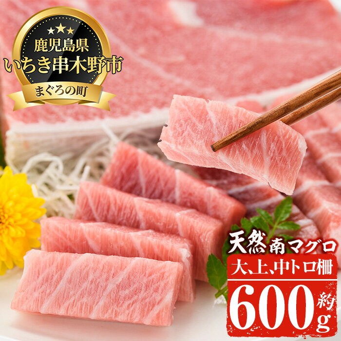 南マグロ極みセット!大とろ・上とろ・中とろの鮪の刺身用柵(計約600g)!希少な南まぐろの大トロや上トロ、中トロを刺身用サクでお届け[新洋水産]