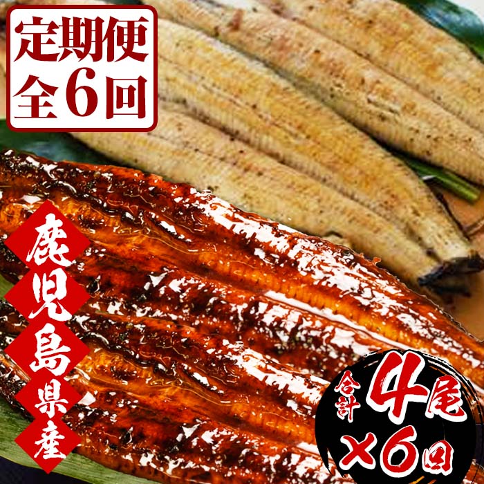 ＜定期便・全6回(毎月)＞鹿児島県産うなぎの食べ比べ堪能セット(うなぎ蒲焼2尾と白焼き2尾×6回)！国産 国産魚 九州産 鹿児島県産 魚 魚介 鰻 うなぎ ウナギ 蒲焼 蒲焼き 惣菜 冷凍 【南竹鰻加工】