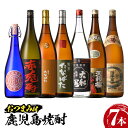 焼酎とおつまみのセット 【ふるさと納税】焼酎と店主オススメのおつまみセット(1800ml×6本・720ml×1本・合計7本)個性ある焼酎の飲み比べ！おつまみ付き！国産 九州産 鹿児島 酒 焼酎 芋焼酎 飲み比べ 1.8L 一升瓶 セット【林酒店】