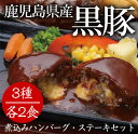 【ふるさと納税】温めるだけ♪鹿児島県産黒豚煮込みハンバーグ・...
