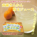 【ふるさと納税】【鹿児島県南さつま市産】南薩きんかん粉末ジュース 2