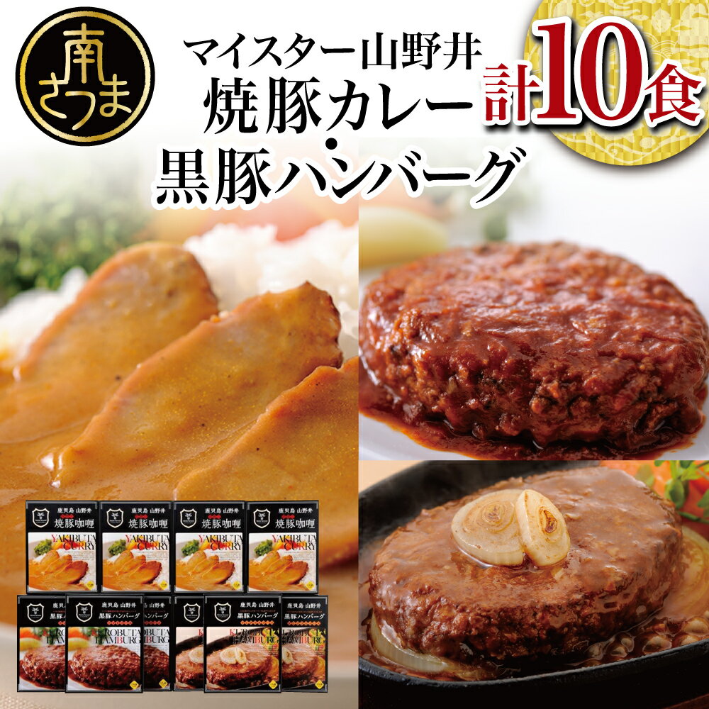 【ふるさと納税】黒豚ハンバーグと焼豚カレーのセット 10食 チャーシュー 焼き豚 トマトソース デミグラスソース レトルト 山野井 ごはん グルメ ギフト 内祝い 贈答用 送料無料 常温保存 詰め合わせ 【2019年度ふるさと納税寄附額鹿児島県1位！南さつま市】のサムネイル