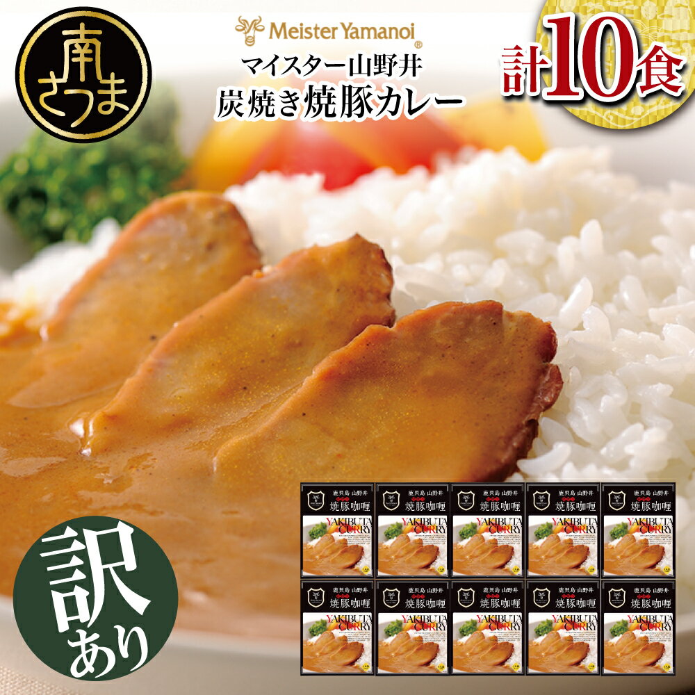 【ふるさと納税】【訳あり／数量限定】マイスター山野井の炭焼き焼豚カレー（レトルト）180g×10個 山野井 ごはん おかず グルメ 送料無料 レトルト食品 セット 常温保存 【2019年度ふるさと納税寄附額鹿児島県1位！】