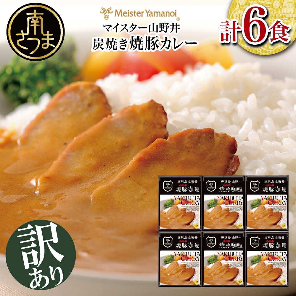 [訳あり/数量限定]山野井の炭焼き焼豚カレー(レトルト)180g×6個 山野井 ごはん おかず グルメ 送料無料 レトルト食品 セット 常温保存 [2019年度ふるさと納税寄附額鹿児島県1位!]