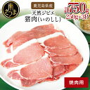 【ふるさと納税】【南さつまジビエ】鹿児島県南さつま産 猪（いのしし）肉　焼肉用 750g（250g×3P） 国産 冷凍 グル…