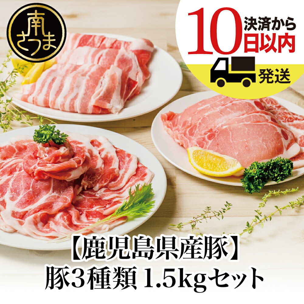 1188円 全国一律送料無料 宮崎県産黒豚の生姜焼き 10袋セット