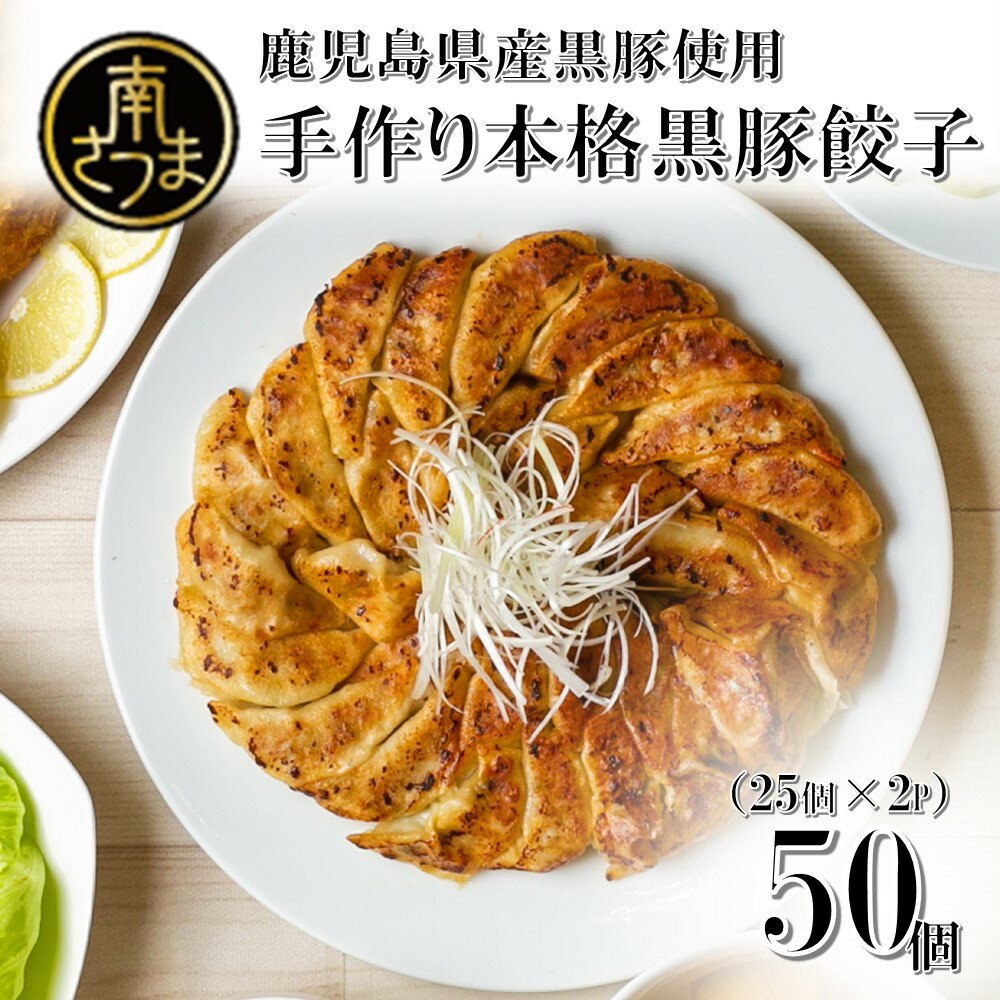 黒豚餃子セット(50個) 手作り もちもち 豚 餃子 おかず 総菜 ごはん お弁当 のし ギフト 送料無料 南さつま市 贈り物 贈答用