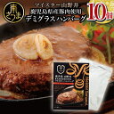 【ふるさと納税】【マイスター山野井】鹿児島県産豚肉100％使用のデミグラスハンバ