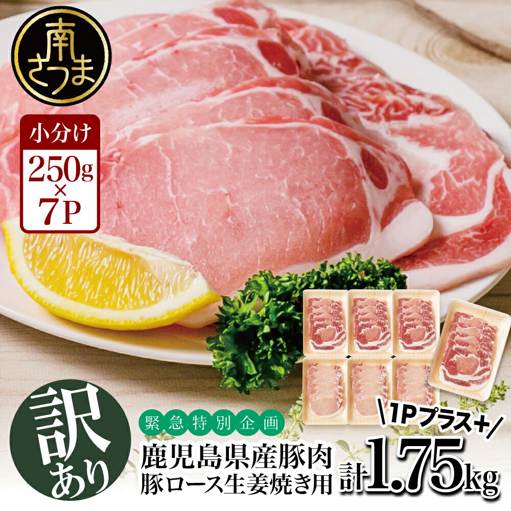 [訳あり]畜産王国鹿児島の 豚ロース 生姜焼き用 1.75kg 肉 お肉 炒め物 生姜焼き 豚肉 かごしま 鹿児島県産 スライス グルメ 冷凍 国産 カミチク 南さつま市 送料無料