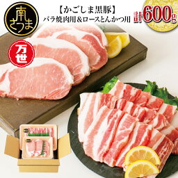 【ふるさと納税】【ブランド黒豚】かごしま黒豚 600g とんかつ用 & 焼肉用 国産 豚肉 鹿児島県産 冷凍 送料無料