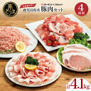 【ふるさと納税】【鹿児島県産】豚肉 4種類セット 計4.1kg(ロースしゃぶ・ロースカツ・切り落とし・ミンチ) 肉 お鍋 しゃぶしゃぶ 冷しゃぶサラダ とんかつ...