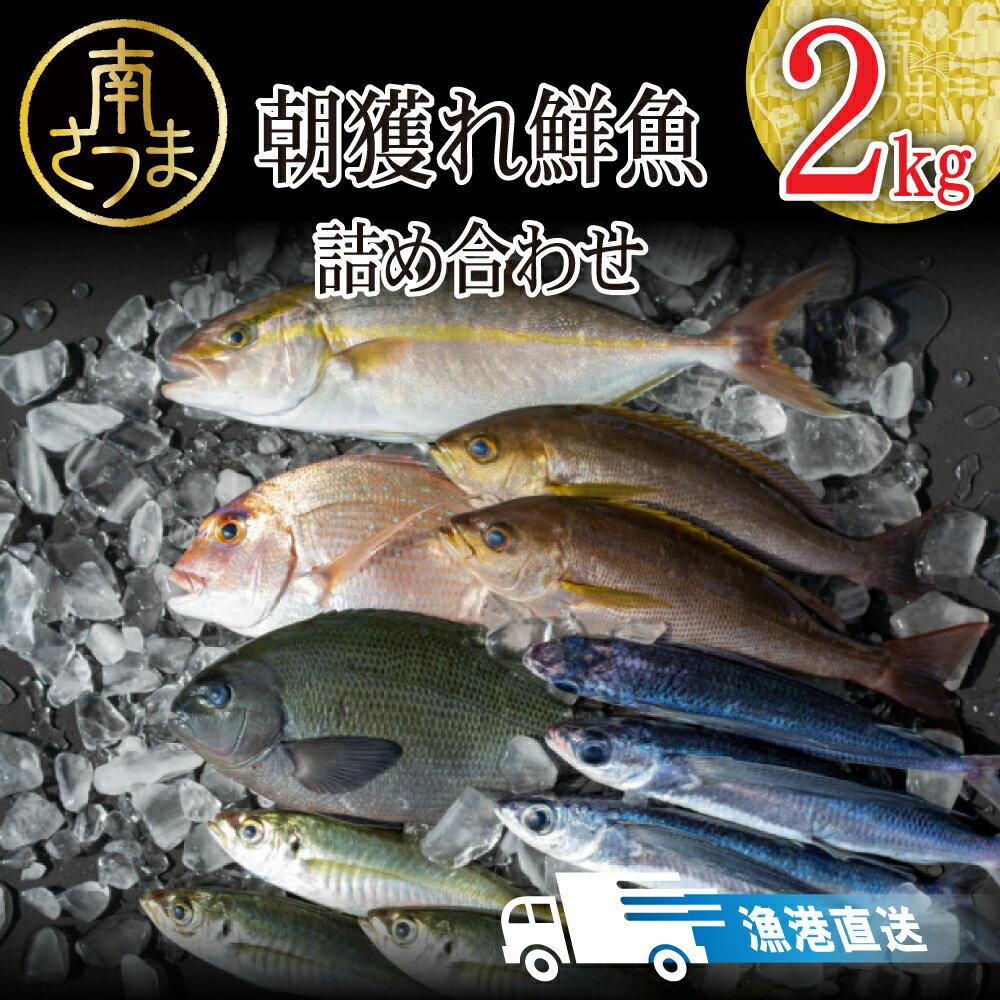 1位! 口コミ数「4件」評価「3.25」【漁港直送】朝獲れ鮮魚 詰め合わせ 2kg 鹿児島産 鮮魚セット おまかせ 海鮮ボックス 海鮮box 直送 セット 鮮魚ボックス 鮮魚直送詰･･･ 