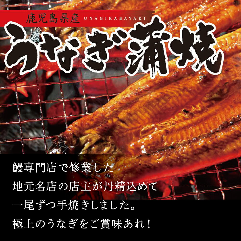 【ふるさと納税】【鹿児島県産】活うなぎの蒲焼2尾 国産 鰻 ウナギ 丑の日 グルメ うな重 うな丼 蒲焼 かば焼き お取り寄せ 送料無料 鹿児島うなぎ 土用 お取り寄せグルメ ギフト 贈答【2019年度 ふるさと納税 寄附額 鹿児島県1位 南さつま市】