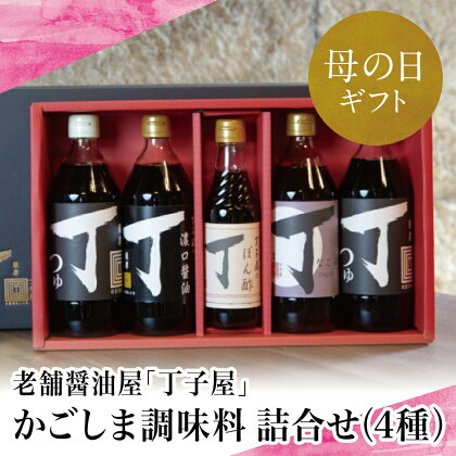 【母の日ギフト】【創業享保20年の老舗醤油屋】丁子屋のかごしま調味料 詰め合わせ (4種) 贈答用　調味料 濃口醤油 めんつゆ なごみ酢 ぽん酢 鹿児島 甘口醤油 つゆ ポン酢 手土産 南さつま市 贈り物 ギフト 贈答用 送料無料