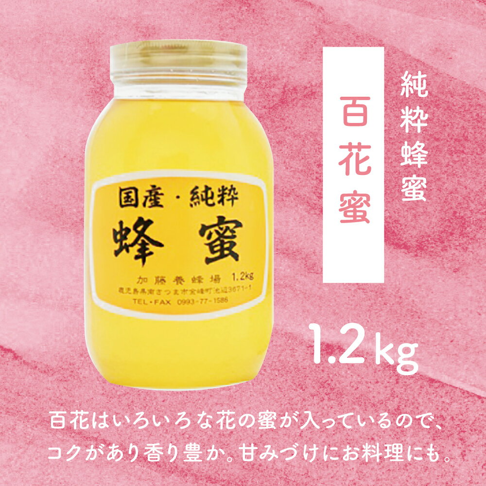 アヲハタ　ヴェルデ ブルーベリー＆バター風味クリーム　52g(13g×4個）× 12個