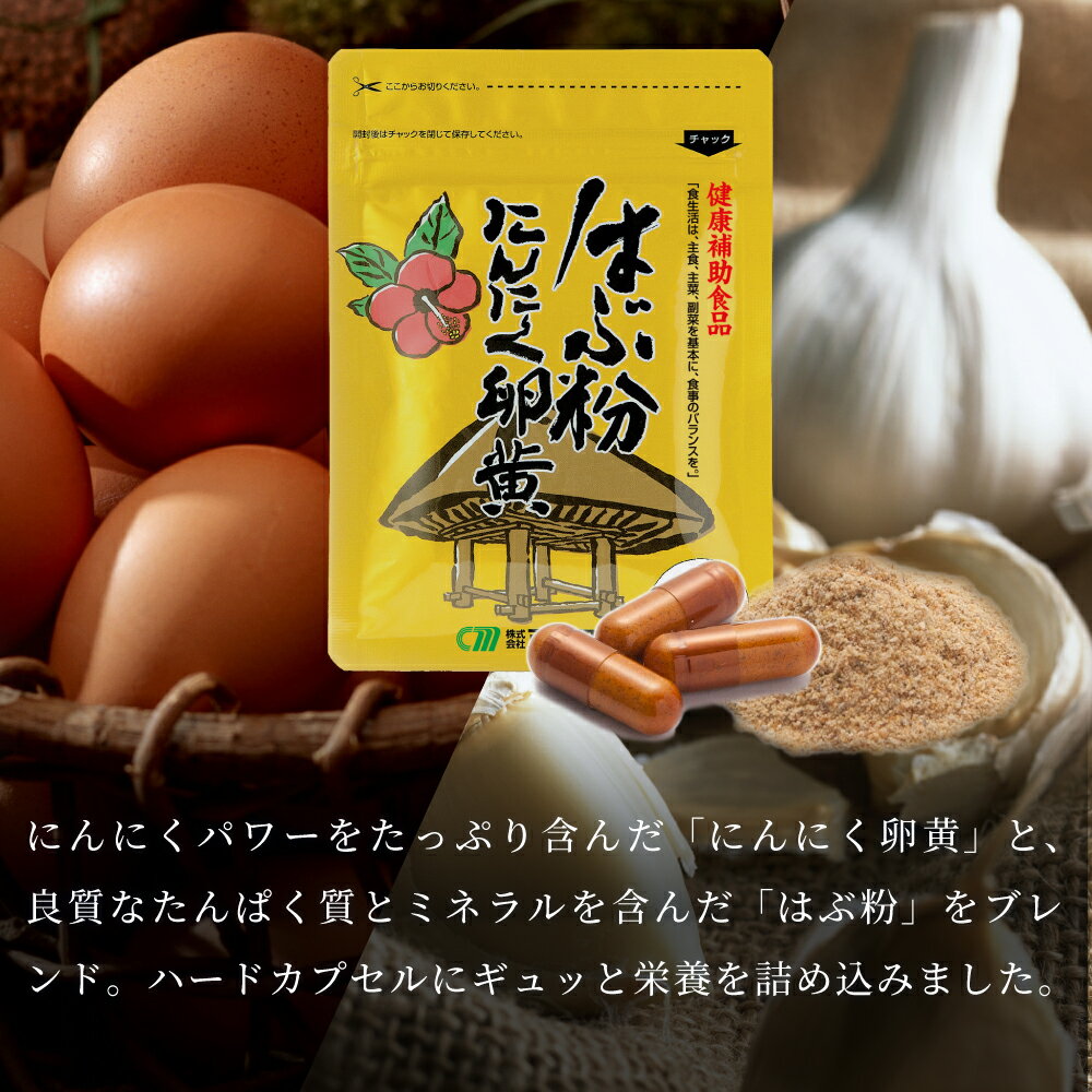 【ふるさと納税】【健康補助食品】はぶ粉にんにく卵黄 （31粒入り×2袋） 送料無料 にんにく 卵黄 健康 美容 にんにく卵黄 食品 ニンニク 正食研究所 鹿児島 南さつま市 はぶ ハブ 【2019年度 ふるさと納税 寄附額 鹿児島県1位 南さつま市】