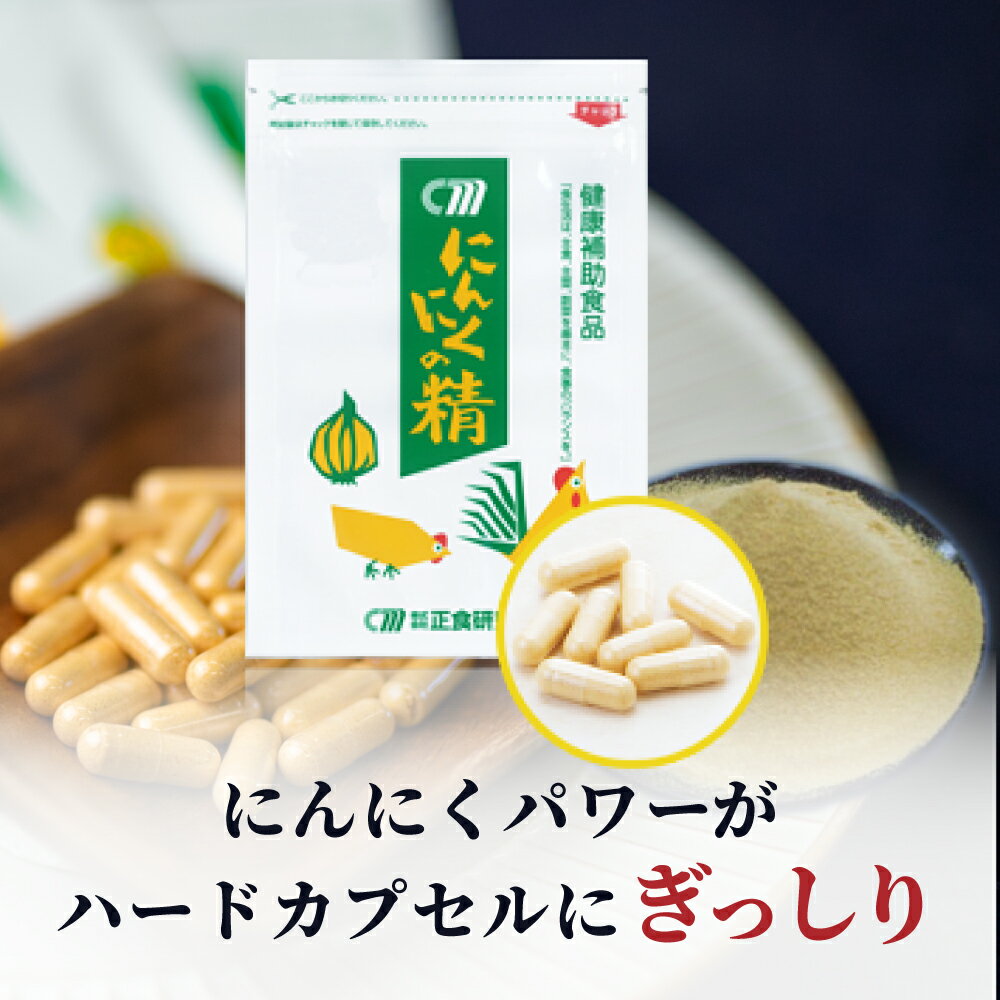 【ふるさと納税】健康補助食品 にんにくの精（31粒入り×3袋） にんにく 卵黄 健康 美容 にんにく卵黄 食品 ニンニク 正食研究所 鹿児島 南さつま市 送料無料 【2019年度 ふるさと納税 寄附額 鹿児島県1位 南さつま市】