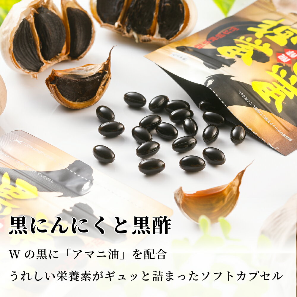 【ふるさと納税】【健康補助食品】黒酢醗酵黒にんにく（62粒入り×2袋） にんにく 健康食品 ニンニク 黒酢 アマニ油 正食研究所 鹿児島 南さつま市 送料無料