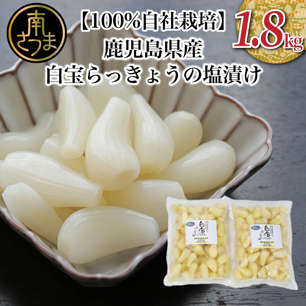 【ふるさと納税】【鹿児島県産】白宝らっきょうの塩漬け 900g 2P 三大砂丘 鹿児島県 吹上砂丘地 らっきょう 漬物 国産 らっきょう漬け お取り寄せ 通販 ギフト ご自宅用 【2019年度 ふるさと納…