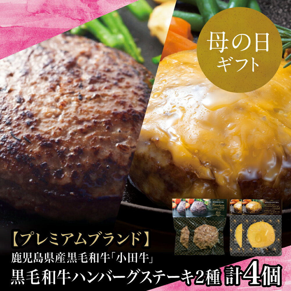 【ふるさと納税】【母の日ギフト】【プレミアムブランド】鹿児島県産黒毛和牛「小田牛」 牛肉100％ 2種類のハンバーグステーキ 計4個（120g×各2個）チーズハンバーグ 牛肉 総菜 おかず レトルト 黒毛和牛 和牛日本一 小田畜産 冷凍 ギフト 贈答 南さつま市 送料無料のサムネイル
