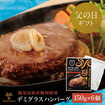 【父の日ギフト】 マイスター山野井 鹿児島県産豚肉100％使用 デミグラスハンバーグ（レトルト） 150g×6個 山野井 おかず 惣菜 グルメ レトルト食品 セット 常温 南さつま市 贈り物 ギフト 贈答用 送料無料【2019年度ふるさと納税寄附額鹿児島県1位！】