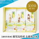 【ふるさと納税】【父の日ギフト】【贈答用】鹿児島県産緑茶 大浦茶 一番茶 3本セット 計300g（100g×3） 鹿児島県産 かごしま お茶 日本茶 緑茶 茶葉 徳留茶農園 南さつま市 贈り物 ギフト 贈答用 送料無料