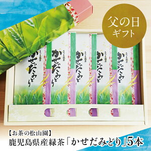 【ふるさと納税】【父の日ギフト】鹿児島県産緑茶 かせだみどり(80g×5袋) お茶 茶葉 日本茶 緑茶 飲料 飲み物 ギフト 贈答用 国産 鹿児島県産 南さつま市 お茶の松山園 贈り物 ギフト 贈答用 送料無料