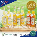 【ふるさと納税】【お中元ギフト】手作りフルーツシロップ 300ml×7本セット - ジュース 詰め合わせ みかん 柑橘 果実 果物 金柑 甘夏 たんかん キング...