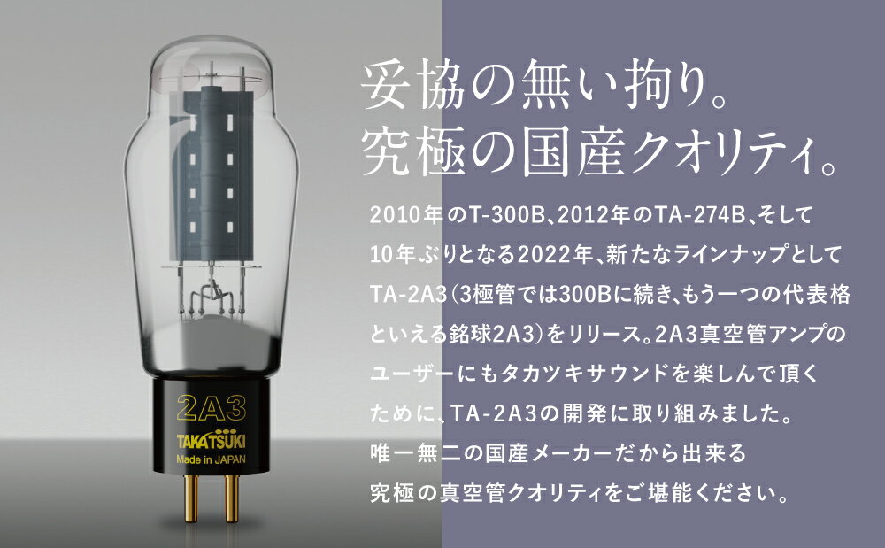 【ふるさと納税】国産オーディオ用真空管TA-2A3【ペア：2本】送料無料 真空管 高槻電器工業 真空管オーディオ オーディオ用パーツ 2