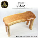【ふるさと納税】【家具職人が天然木で作りあげた】原木椅子 幅700×奥行300×高さ430 天板厚み 33mm センダン 椎 (しいのき) 職人 手作り 高品質...