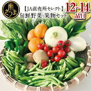 【ふるさと納税】【JA直売所セレクト】旬鮮野菜・果物セット 12～14品目 野菜 お野菜 九州 野菜BOX 旬 セット 詰合せ 定期便 JA鹿児島県経済連 南さつま市 送料無料 野菜詰め合わせ おまかせ …