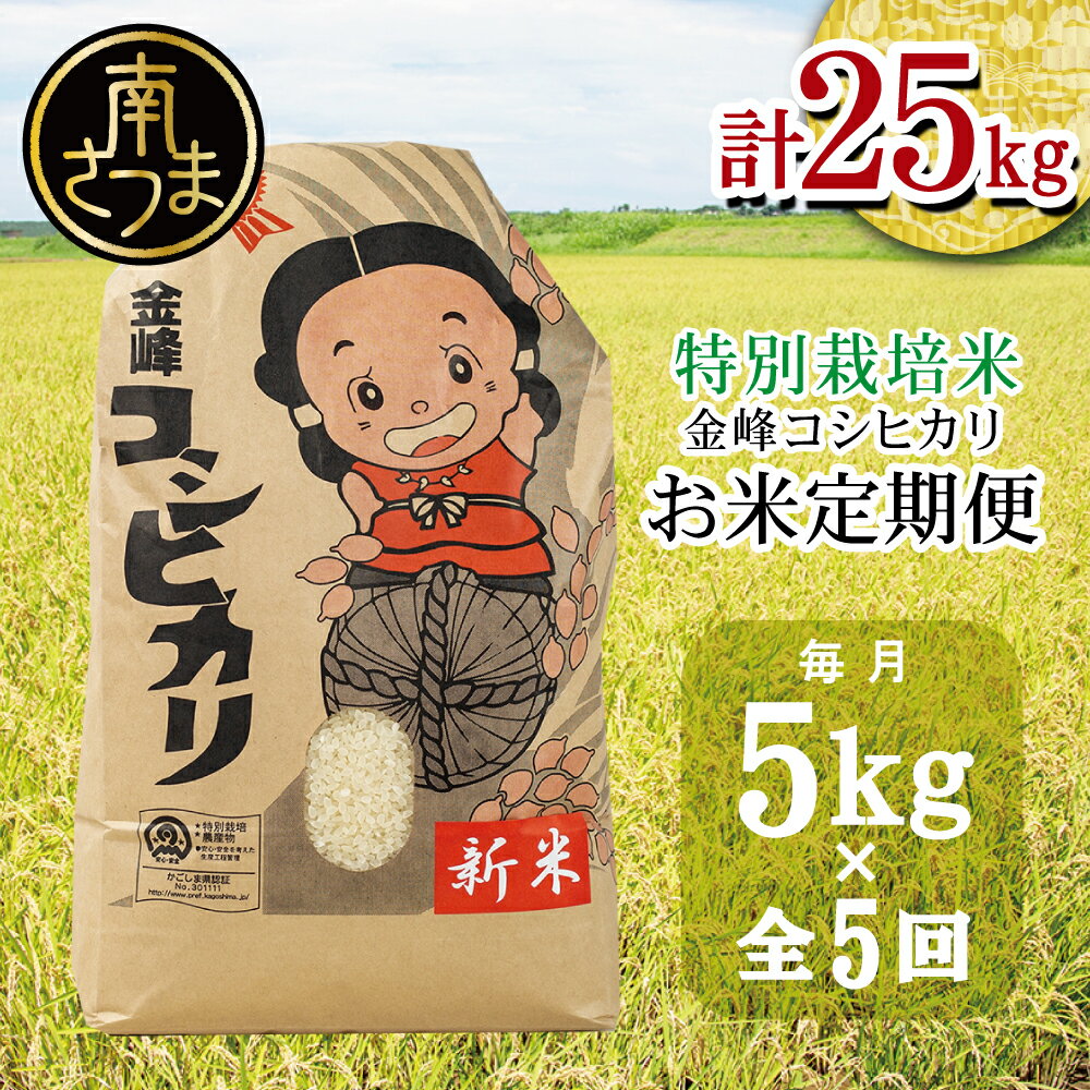 1位! 口コミ数「0件」評価「0」【定期便 全5回】金峰コシヒカリ 5kg×5ヶ月 特別栽培米 お米定期便 定期配送 5ヶ月 コシヒカリ 特別栽培農産物 コメ おこめ 5キロ･･･ 