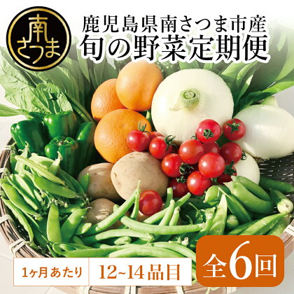 【かごしま野菜の定期便（全6回）】旬鮮 野菜 と 果物 のセット（12〜14品目） 野菜 お野菜 九州 野菜BOX 旬 フルーツ セット 詰合せ 定期便 JA鹿児島県経済連 南さつま市 送料無料