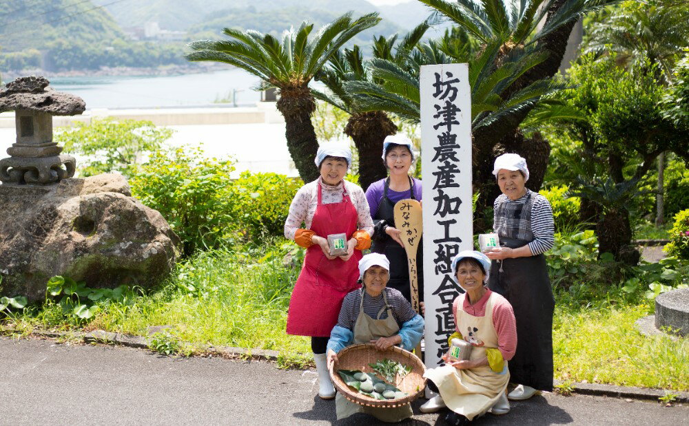 【ふるさと納税】南さつまばぁばの手作り味噌 4.5kg（900g×5袋）手作り みそみそ 鹿児島産 甘め 香り豊か 味噌 昔ながらの味 伝統製法 小分けパック みなみかぜ 南さつま市 送料無料 【2019年度 ふるさと納税 寄附額 鹿児島県1位 南さつま市】