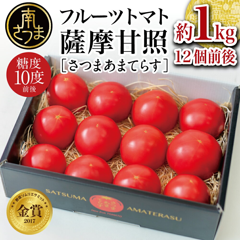 【ふるさと納税】【糖度10度以上】LEDで育てたプレミアム フルーツトマト 薩摩甘照 約1kg 贈答用 高槻電器工業 さつまあまてらす ギフト 化粧箱入り 送料無料