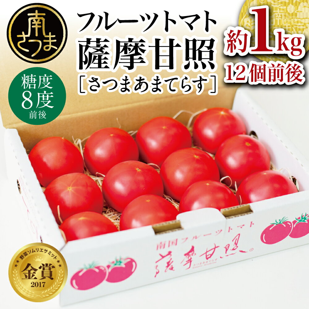 [TVで話題] 数量限定! LEDで育てた フルーツトマト 薩摩甘照 約1kg (白箱) 高槻電器工業 さつまあまてらす ギフト 化粧箱入り 送料無料 贈答品 トマト LED