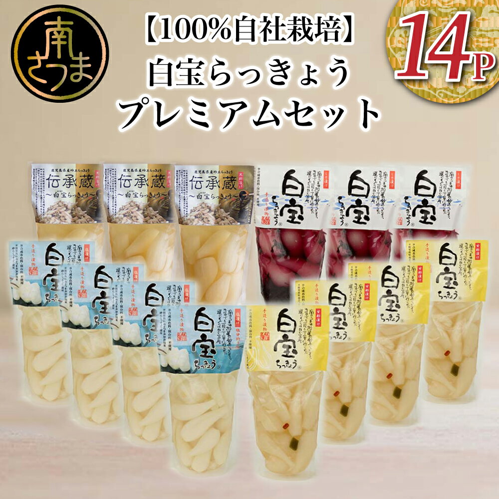 【ふるさと納税】【鹿児島県産】白宝らっきょうプレミアムセット 14P（酢漬け・塩漬け各4P、しそ漬け・黒酢漬け各3P） 三大砂丘 鹿児島県 吹上砂丘地 らっきょう 漬物 国産 らっきょう漬け お取り寄せ ギフト ご自宅用 南さつま市 送料無料